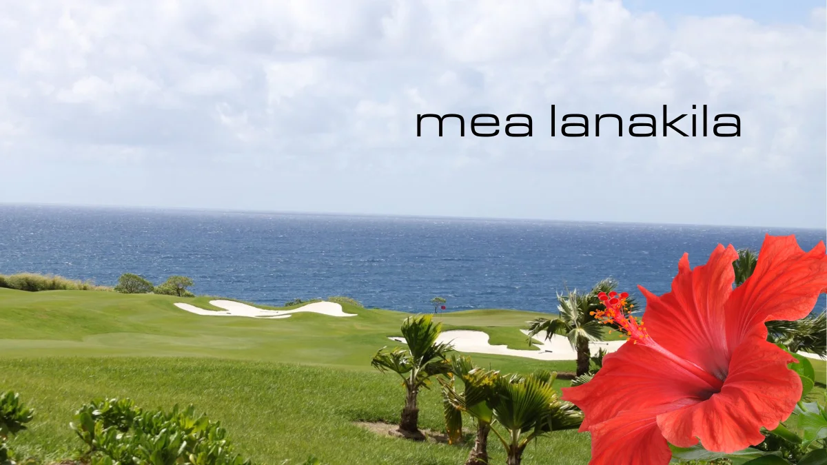 Cameron Smith came out on top at 34 under on the week