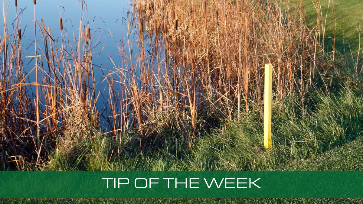 TIP OF THE WEEK