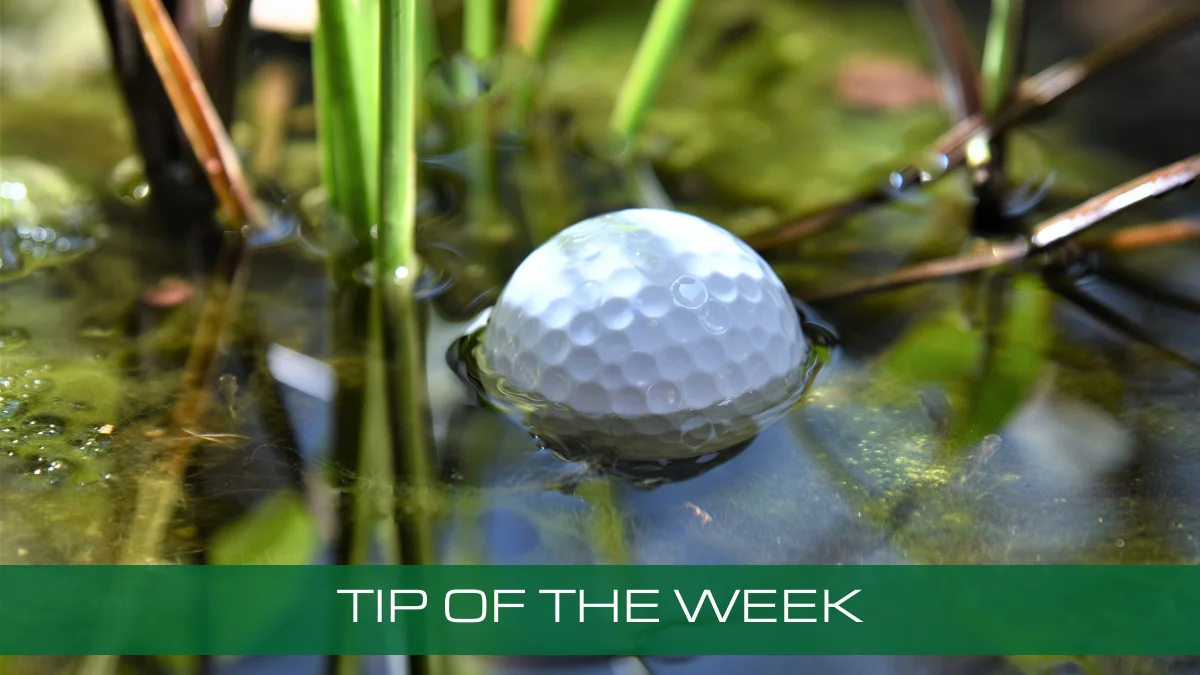 TIP OF THE WEEK