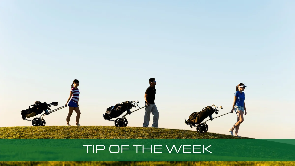TIP OF THE WEEK